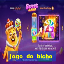 jogo do bicho banca ouro verde